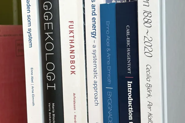 Books on a bookshelf. Photo.