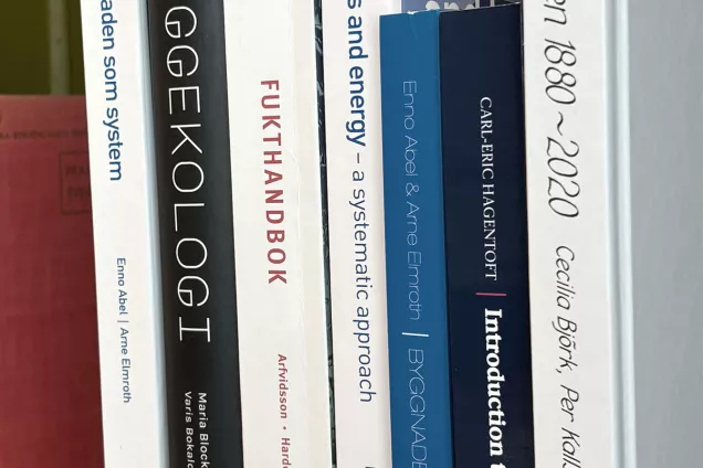 Books on a bookshelf. Photo.